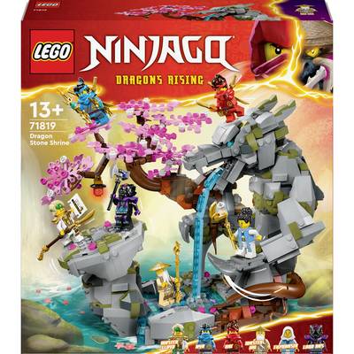 71819 LEGO® NINJAGO Dragon Stone Temple