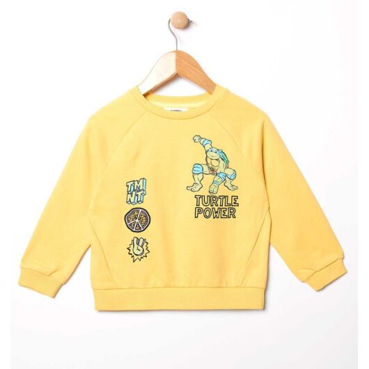 Teenage Mutant Ninja Turtles Sweatshirt 1.5-2 Years, 1.5 - 2 Years