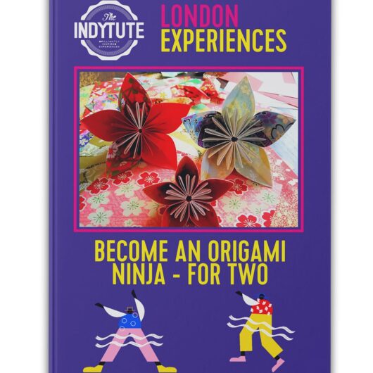 The Indytute Become An Origami Ninja London Experience For Two